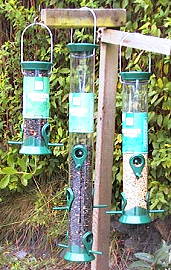 Feeders - Seed Feeders - RSPB Defender Range