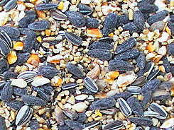 Wild Bird Feeds - The Traditional Range - Cheeky Bird Mix