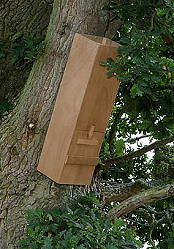 Accessories - Nest Boxes - Tawny Owl Nesting Tube