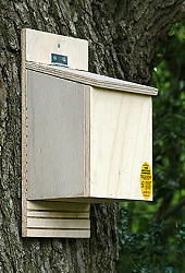 Accessories - Nest Boxes - Bat Nesting Box